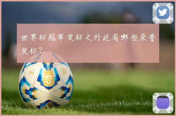 世界杯冠军奖杯之外还有哪些荣誉奖杯？
