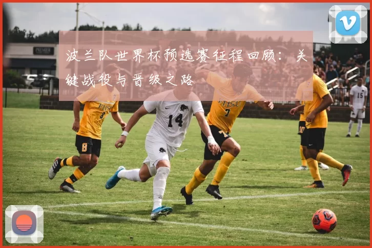 波兰队世界杯预选赛征程回顾：关键战役与晋级之路