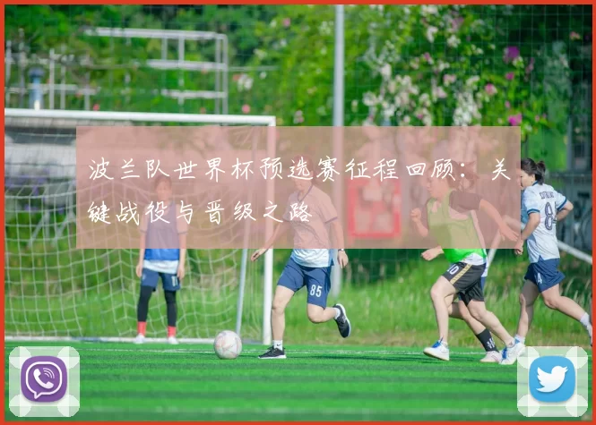 波兰队世界杯预选赛征程回顾：关键战役与晋级之路