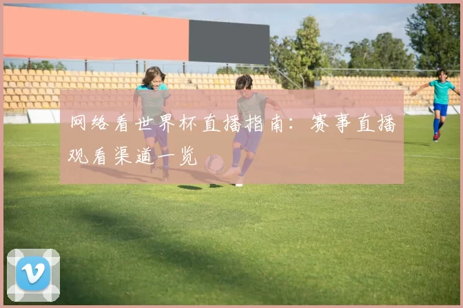 网络看世界杯直播指南：赛事直播观看渠道一览