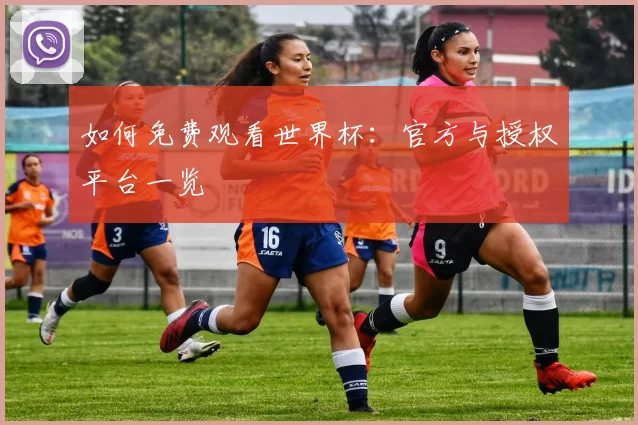 如何免费观看世界杯：官方与授权平台一览