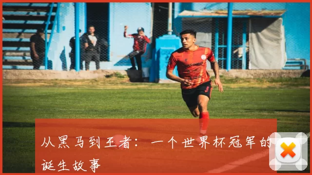 从黑马到王者：一个世界杯冠军的诞生故事