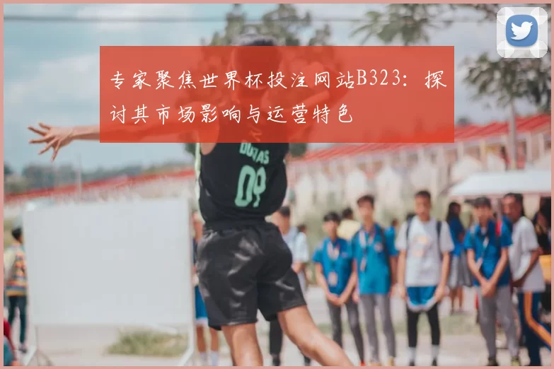 专家聚焦世界杯投注网站B323:探讨其市场影响与运营特色