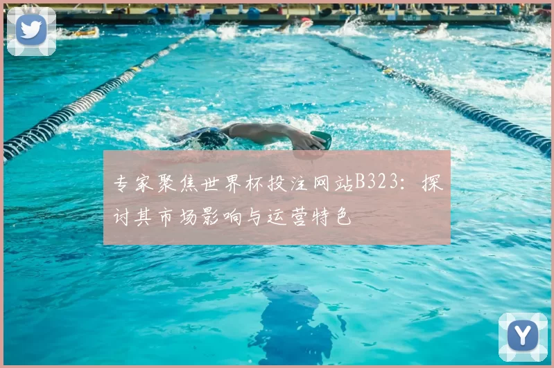专家聚焦世界杯投注网站B323:探讨其市场影响与运营特色