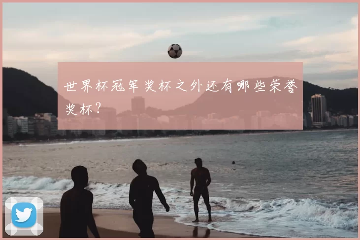 世界杯冠军奖杯之外还有哪些荣誉奖杯？