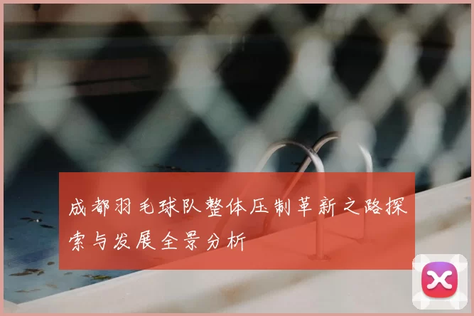成都羽毛球队整体压制革新之路探索与发展全景分析
