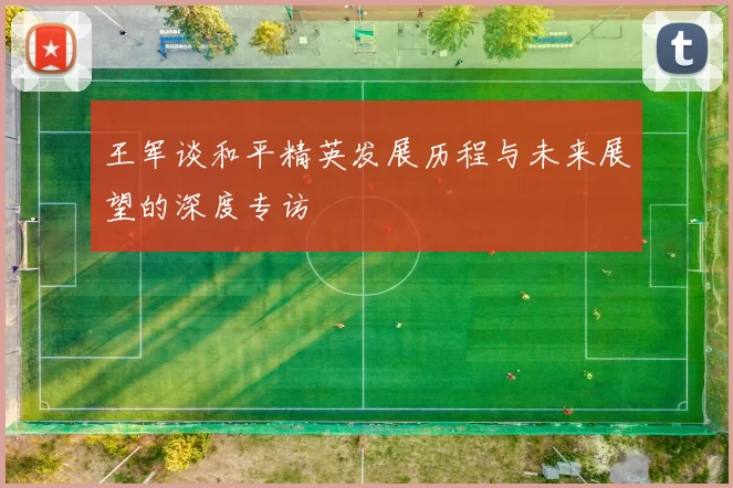 王军谈和平精英发展历程与未来展望的深度专访