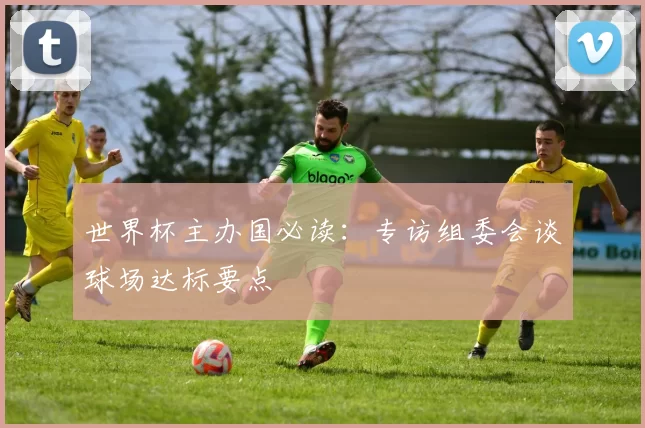 世界杯主办国必读:专访组委会谈球场达标要点
