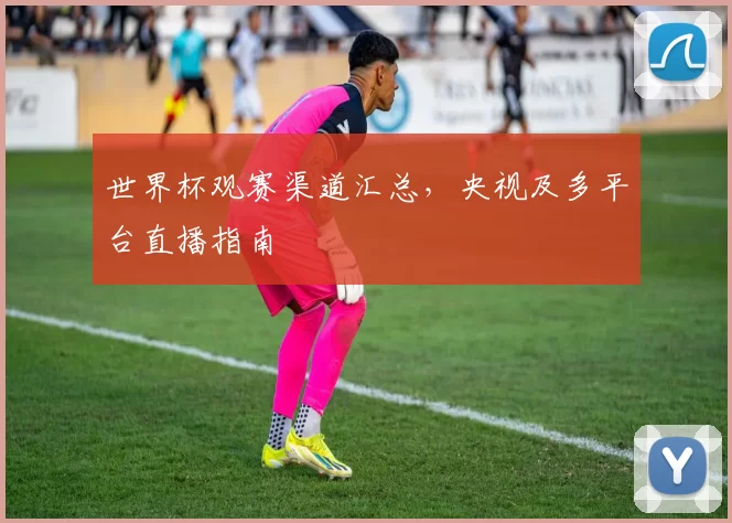 世界杯观赛渠道汇总，央视及多平台直播指南