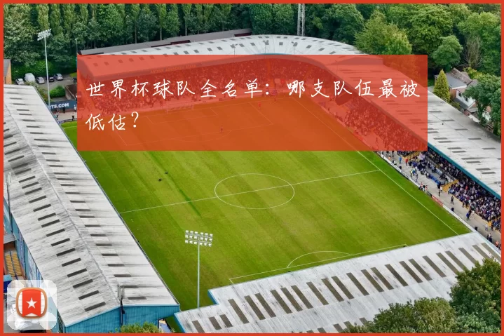 世界杯球队全名单：哪支队伍最被低估？