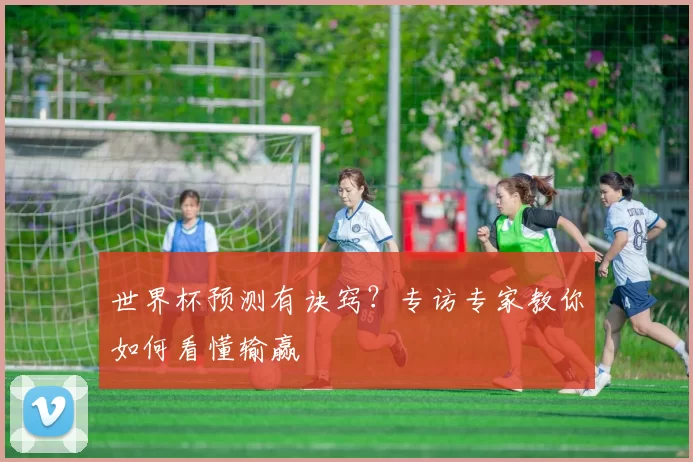 世界杯预测有诀窍？专访专家教你如何看懂输赢