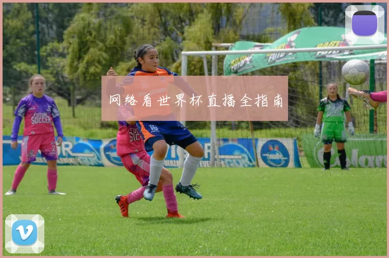 网络看世界杯直播全指南