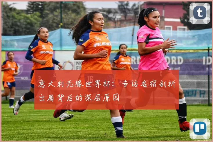 意大利无缘世界杯：专访名宿剖析出局背后的深层原因
