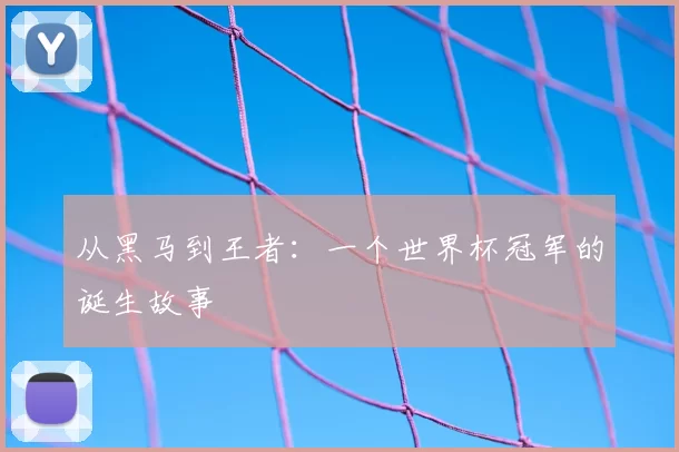 从黑马到王者：一个世界杯冠军的诞生故事