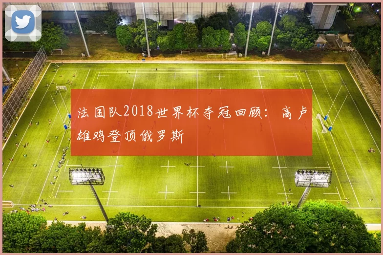 法国队2018世界杯夺冠回顾：高卢雄鸡登顶俄罗斯